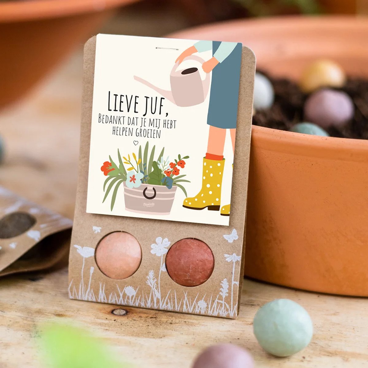  Blossombs-2 Stuks-Lieve Juf-Bedankt-Dat Je Mij Hebt Laten Groeien-juf-juffendag-einde Schooljaar-afscheid School-kinderleidster-kinderdagverblijf-biologisch-duurzaam-vlinders-bijen-verse Bloemen