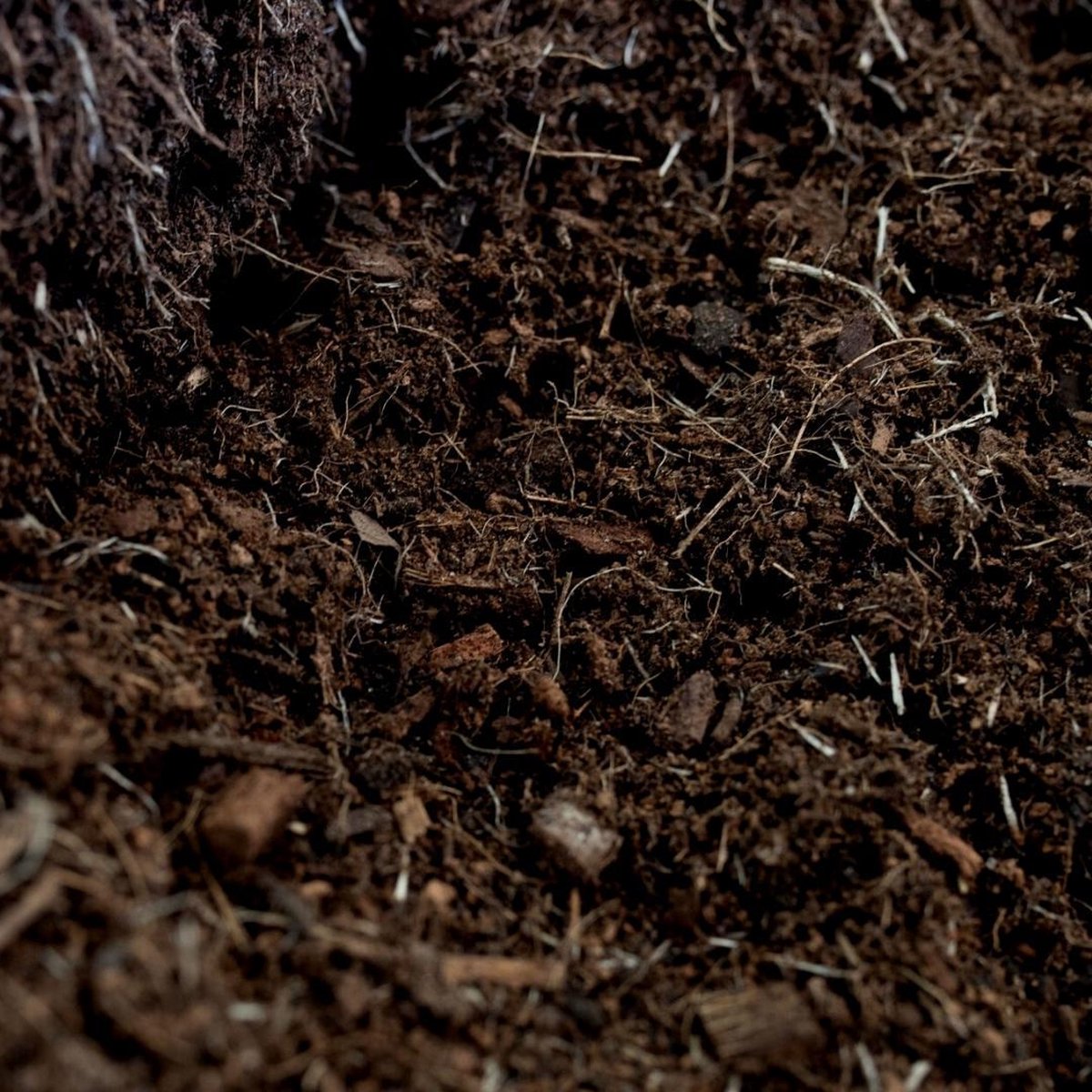  Culvita Universele Potgrond 40 L Inclusief 2 Maanden Plantenvoeding - Universele Potgrond Voor Kamerplanten En Buitenplanten - Potgrond Universeel 40 Liter