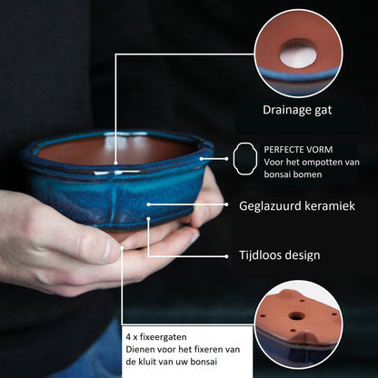  Happy Seed Keramieken Bonsai Pot (schaal) - Marine Blauw - Geglazuurd