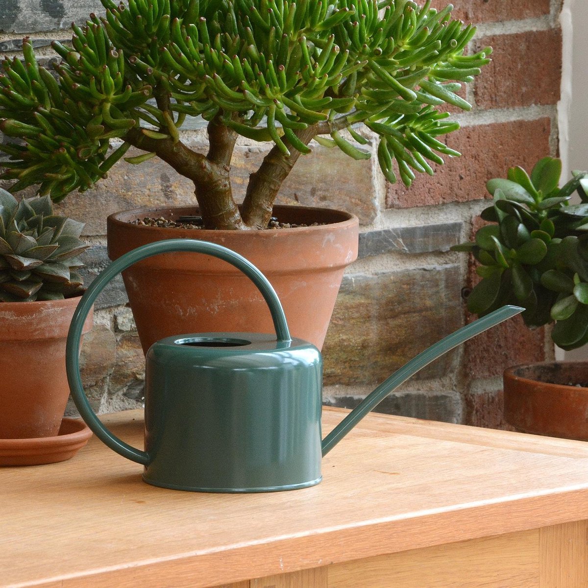  CKB LTD - Gieters - Gieter - Retro - Gietertje - Kleine Gieter Voor Binnen En Buiten - 1 Liter - Groen Plantengieter Tuingieter Bloemengieter Mini Klein Metaal Binnenplantjes Gietertjes Tuingieters Vintage Kamerplanten Buitengieter Binnenshuis
