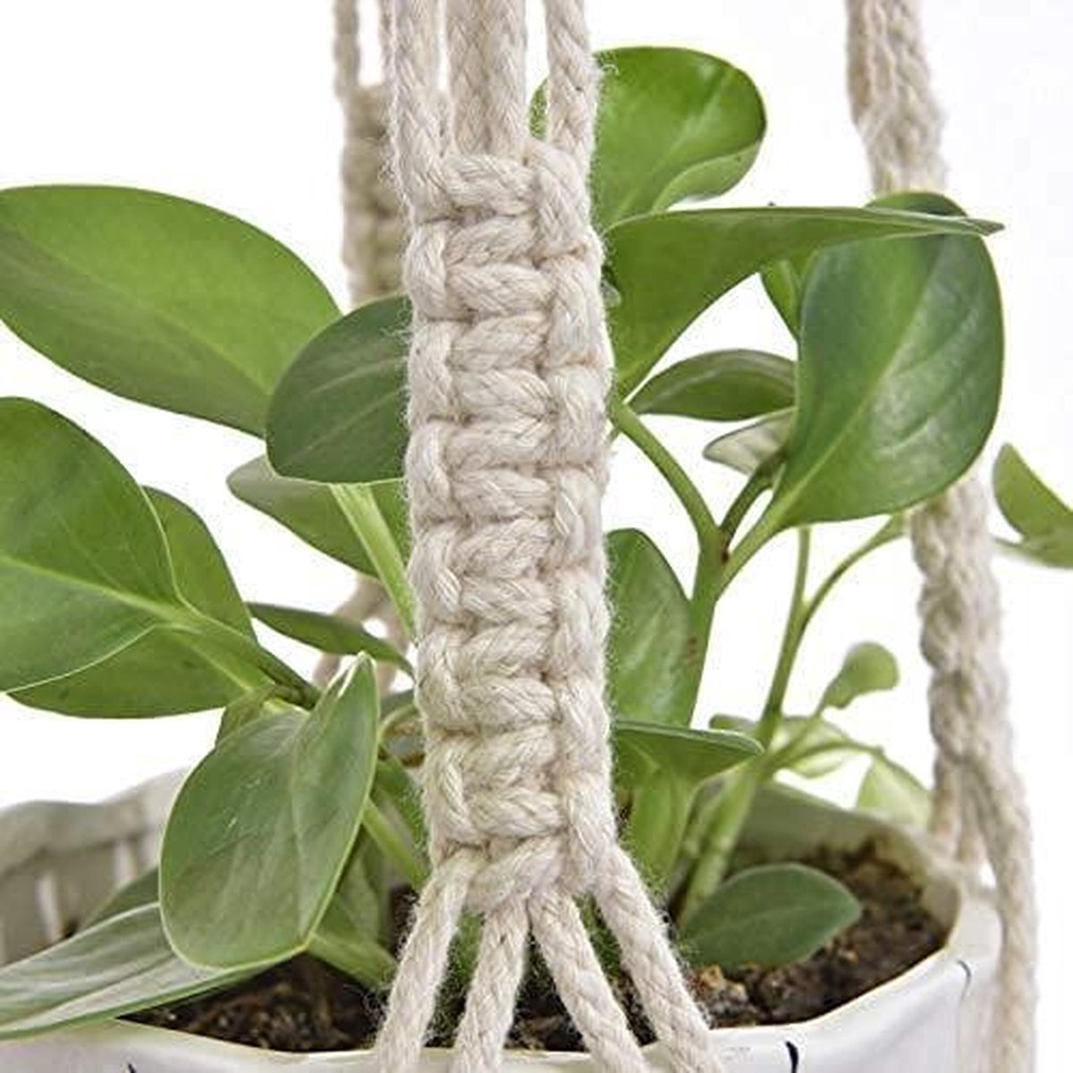  4 Stuks Plantenhangers - Boho Handgeweven Katoen Hangpot Voor Binnen/Buiten - Bloempot Met Kralen - Macramé Touw/Koord Hangplant Houder - Bohemian Wandhanger Decoratie - Verticale Tuin Plant Hanger Bloempothouder Planthanger Wit