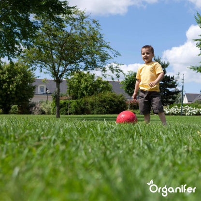  Speelgazon Graszaad (1kg Voor 50m2) - Snelkiemend En Zelfherstellend Sportgazon Bestand Tegen Betreding - Resilient - Organifer