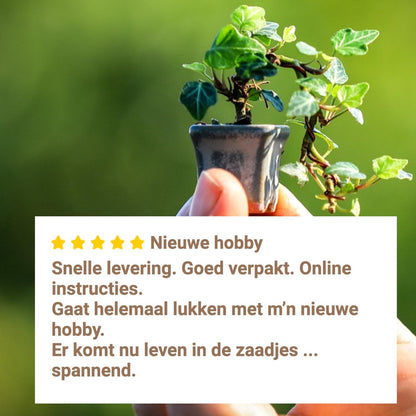 B-seed Zaden Set Incl. E-Book Bonsai Zaden Kweken - Boompje In Pot - Kamerplanten - Kweekset – Cadeau Man &amp; Vrouw - Geschenkset