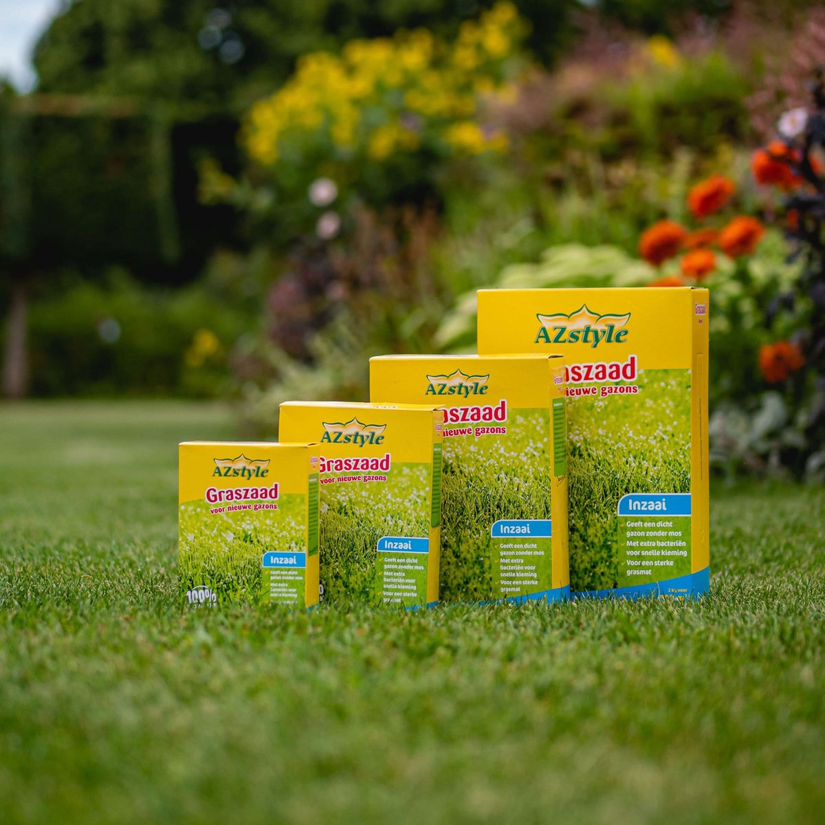  ECOStyle Graszaad-Inzaai Voor Nieuwe Gazons - Dicht Gazon Zonder Mos - Sterke Grasmat - Snelkiemend Graszaad - Speel &amp; Siergazons - 50 M² - 1 KG