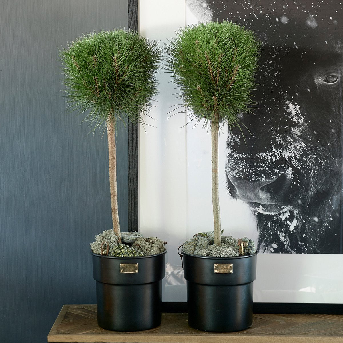  Riviera Maison Bloempot Voor Binnen Zwart - City Loft Flower Pot S