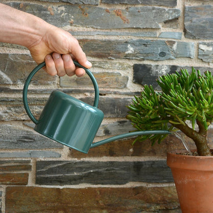  CKB LTD - Gieters - Gieter - Retro - Gietertje - Kleine Gieter Voor Binnen En Buiten - 1 Liter - Groen Plantengieter Tuingieter Bloemengieter Mini Klein Metaal Binnenplantjes Gietertjes Tuingieters Vintage Kamerplanten Buitengieter Binnenshuis
