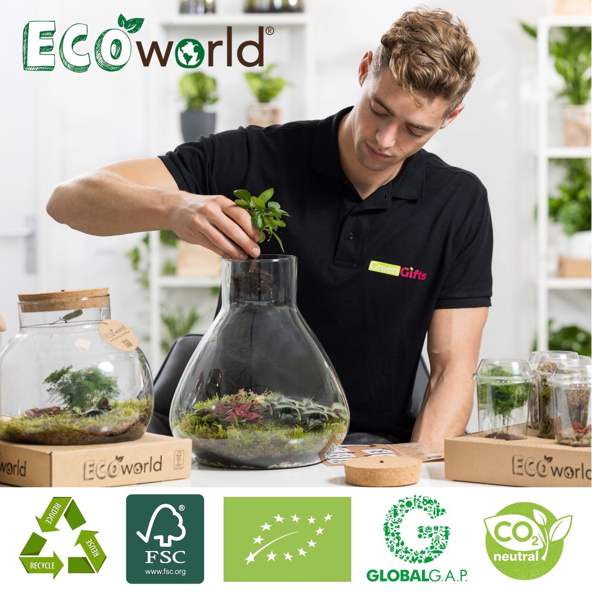  Ecosysteem Plant Met Lamp - Ecoworld Tropical Biodome - Plant In Glazen Bol - 3 Gekleurde Kamerplanten Planten - Bolvormig Glas - Hoogte 25 Cm