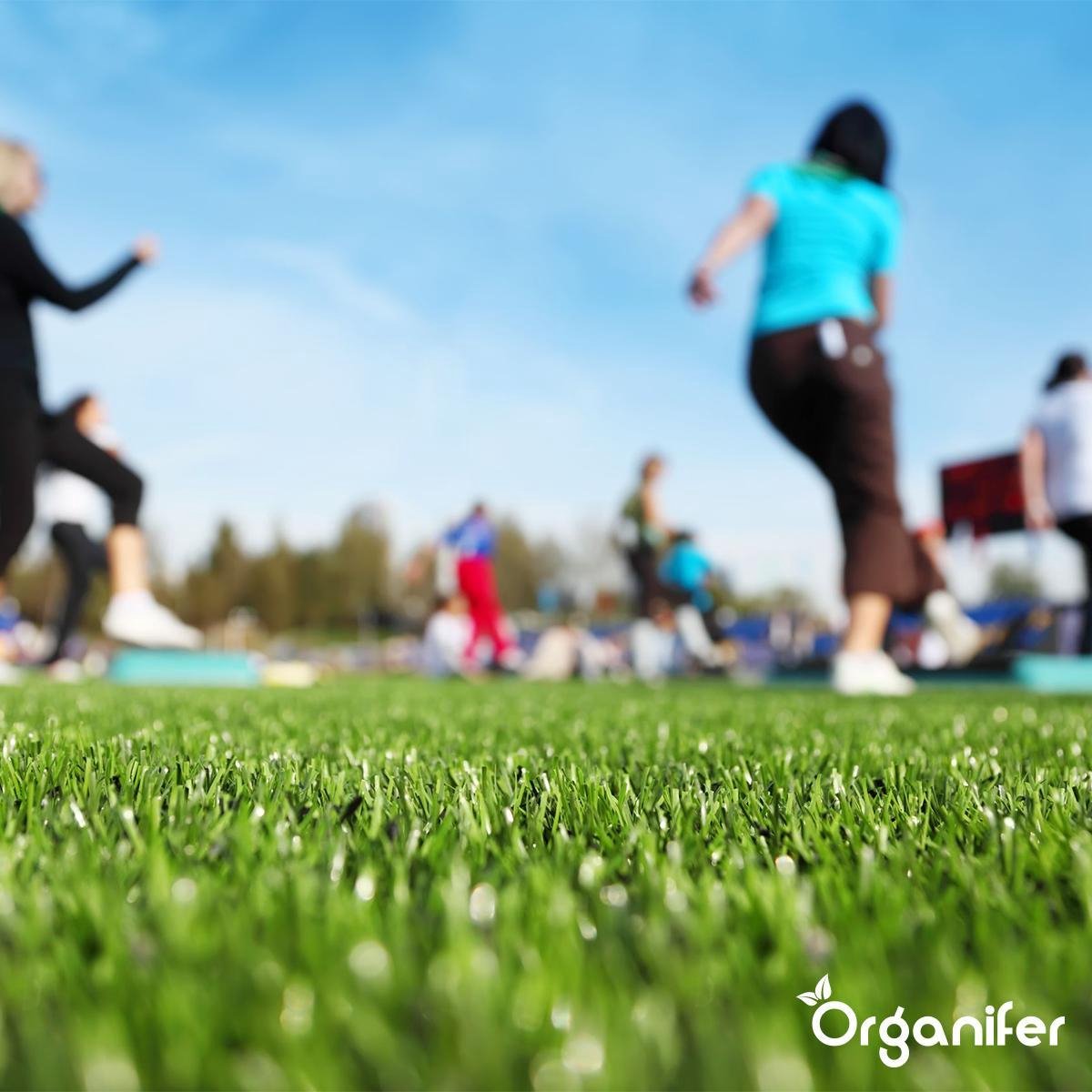  Herstelgazon Graszaad Met Grote Kiemkracht – Fast Repair (5 Kg Voor 250m2) Organifer