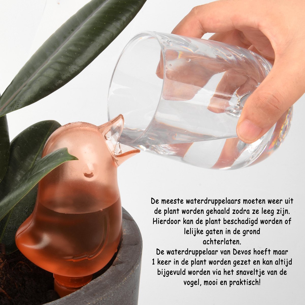  Waterdruppelaar Voor Planten 2 Stuks - Waterbol Kamerplanten - Automatisch Watergeefsysteem - Vogel - Roze