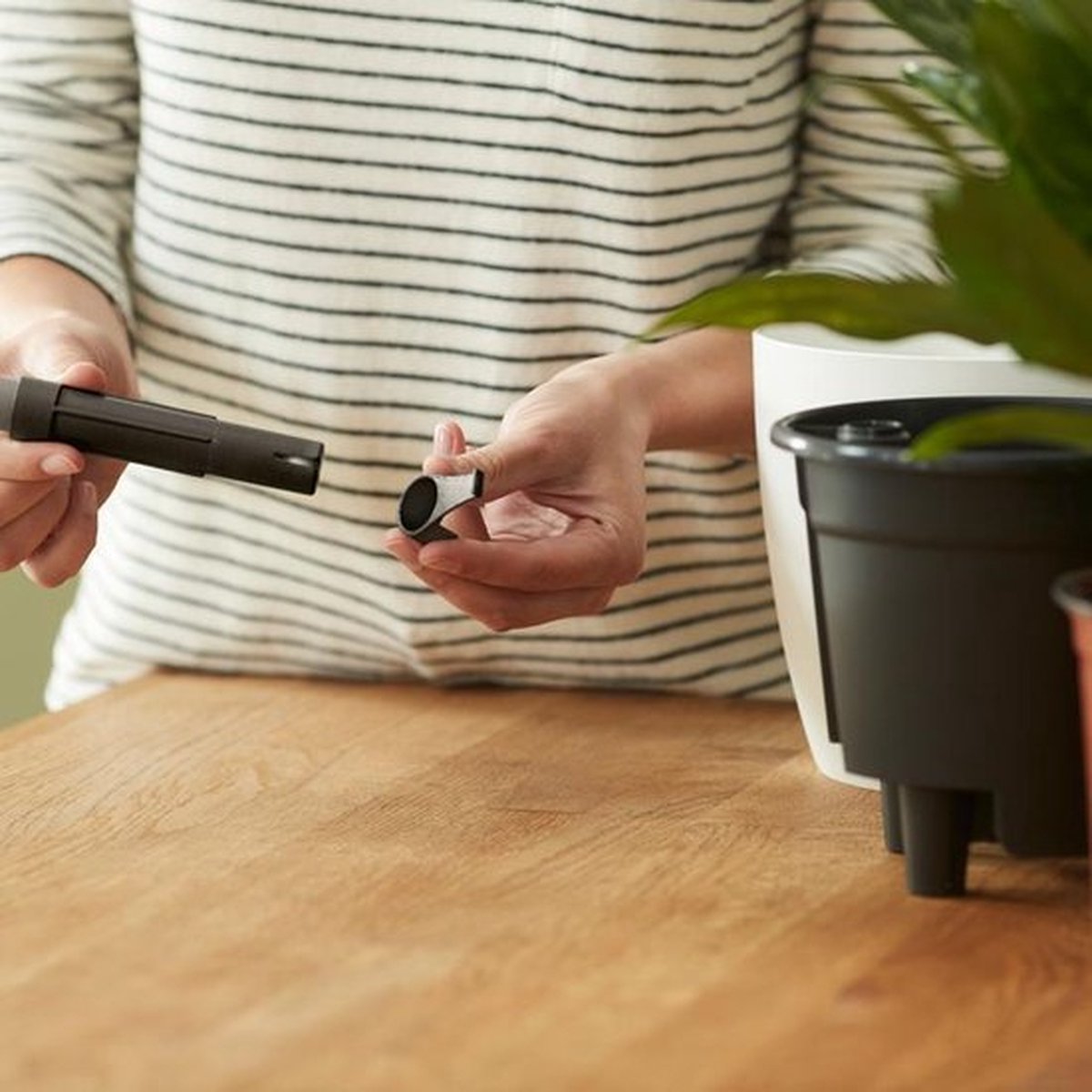  Elho Self-watering Insert 33 - Accessoires Voor Binnenaccessoires - Ø 33.3 X H 30.7 Cm - Zwart/Living Black