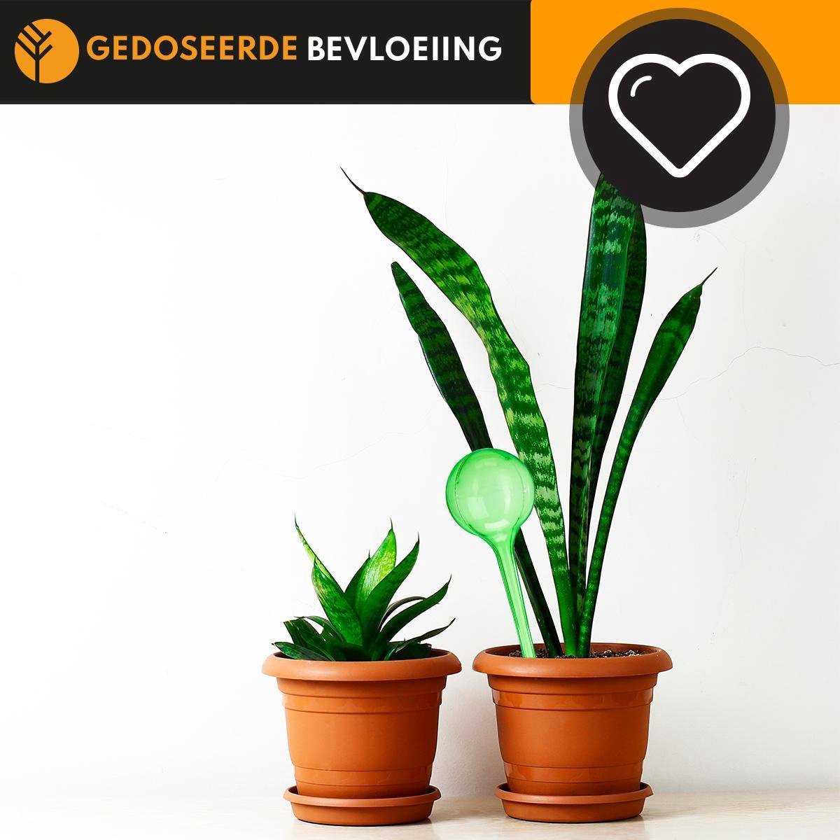  Waterdruppelaar Set Van 6 Stuks Voor Planten – 27 CM – Automatisch Watergeefsysteem Voor Kamerplanten – Planten Watergever Met Druppelsysteem – Waterbol