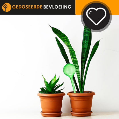  Waterdruppelaar Set Van 6 Stuks Voor Planten – 27 CM – Automatisch Watergeefsysteem Voor Kamerplanten – Planten Watergever Met Druppelsysteem – Waterbol