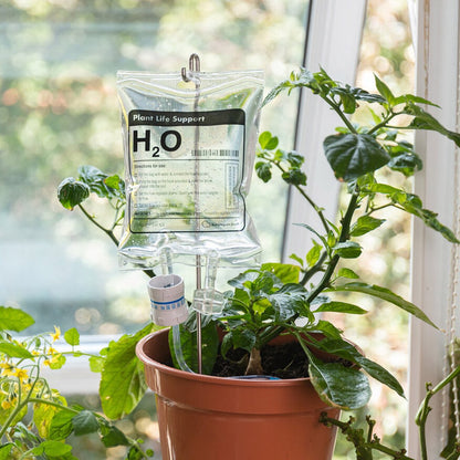  Woonaccessoires- Automatisch Watergeef Systeem | Plantenwaterer - Life Support Irrigatieapparaat | Druppelaar Kamerplanten - | Planten Watergever Met Druppelsysteem 350ml