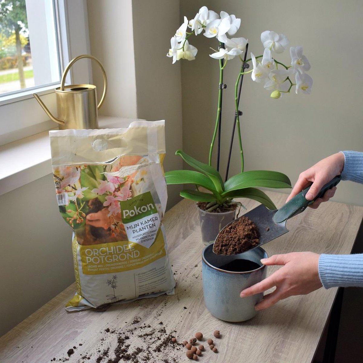  Pokon Orchidee Potgrond - 5l - Potgrond (Orchidee) - 60 Dagen Voeding