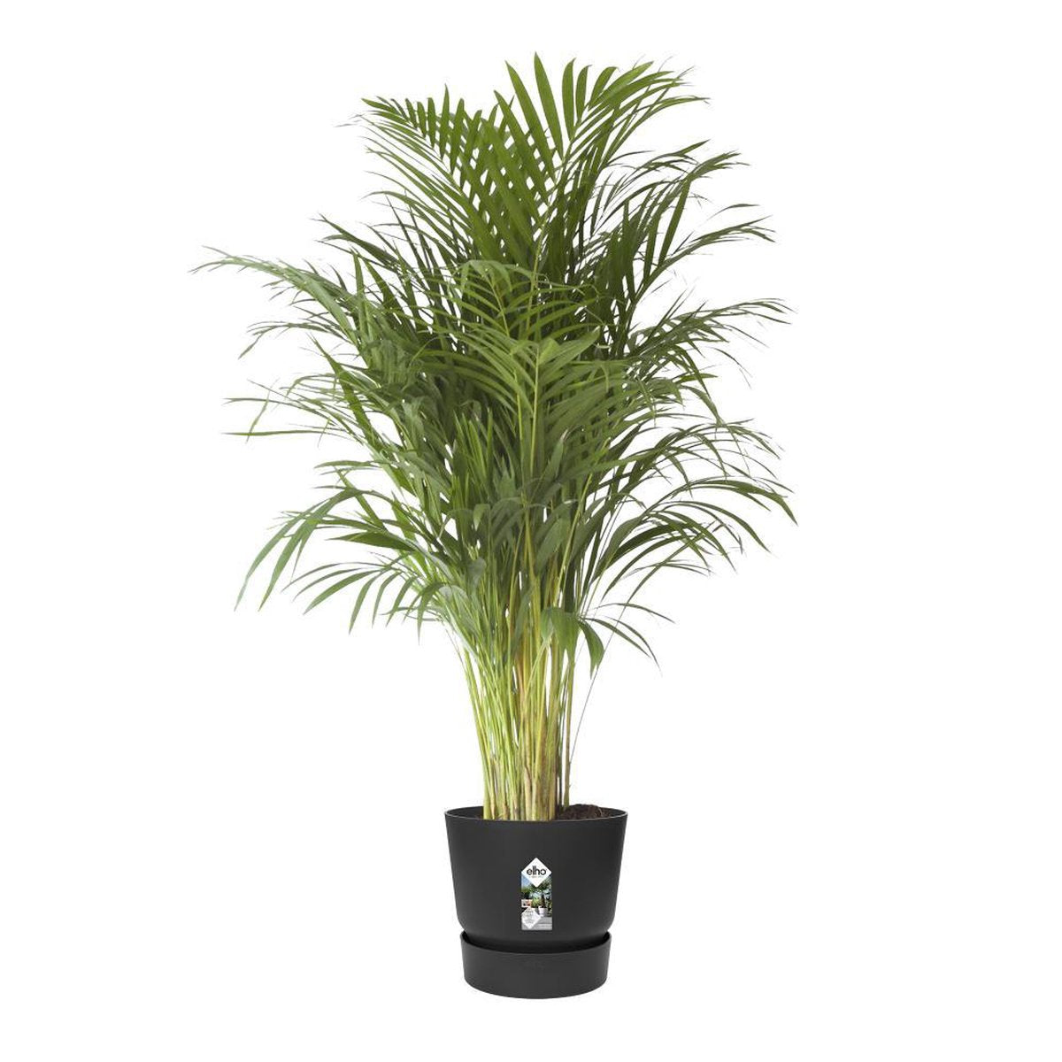  Elho Greenville Rond 40 - Grote Bloempot Voor Buiten - Gemaakt Van Gereycled Plastic - Ø 39.0 X H 36.8 Cm - Living Black