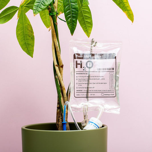  Woonaccessoires- Automatisch Watergeef Systeem | Plantenwaterer - Life Support Irrigatieapparaat | Druppelaar Kamerplanten - | Planten Watergever Met Druppelsysteem 350ml