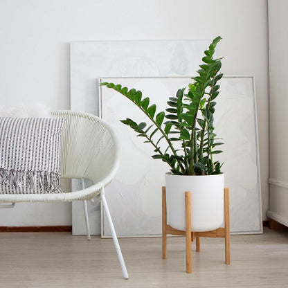  LifeGoods Planten Standaard - Uitschuifbare Bloempothouder - 20 Tot 30 Cm - Licht Bamboe
