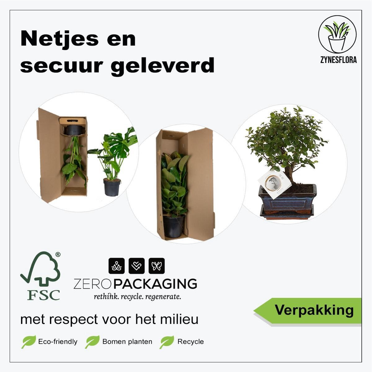  ZynesFlora - Bonsai In Keramiek - Kamerplant In Pot - Ø 15 Cm - Hoogte: 25-30 Cm - Kamerplant