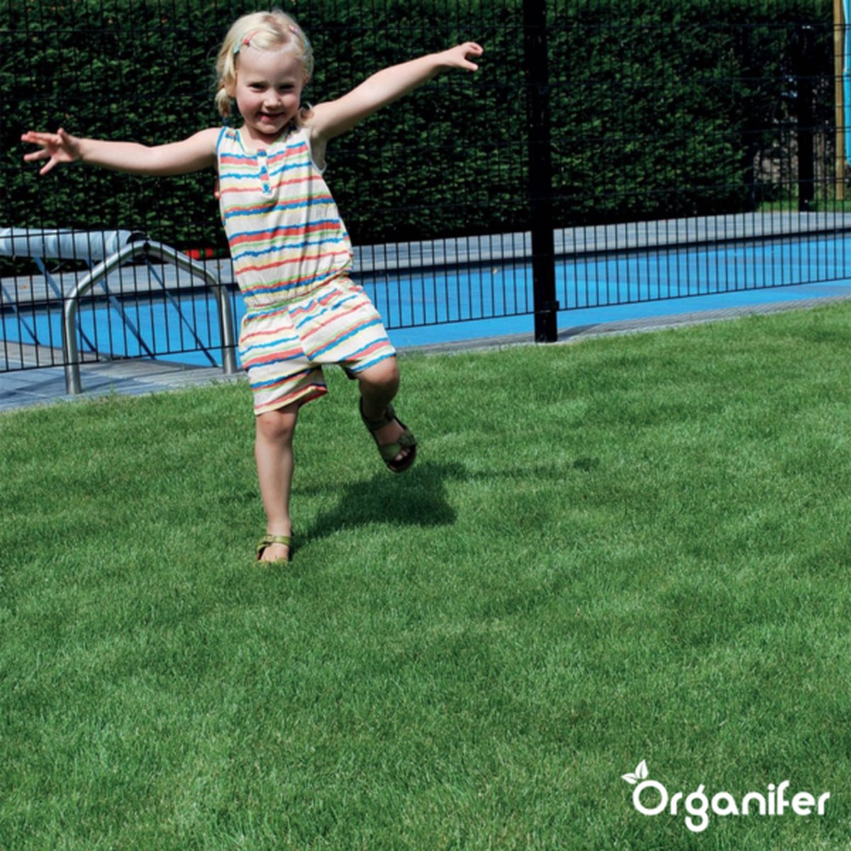  Speelgazon Graszaad (1kg Voor 50m2) - Snelkiemend En Zelfherstellend Sportgazon Bestand Tegen Betreding - Resilient - Organifer