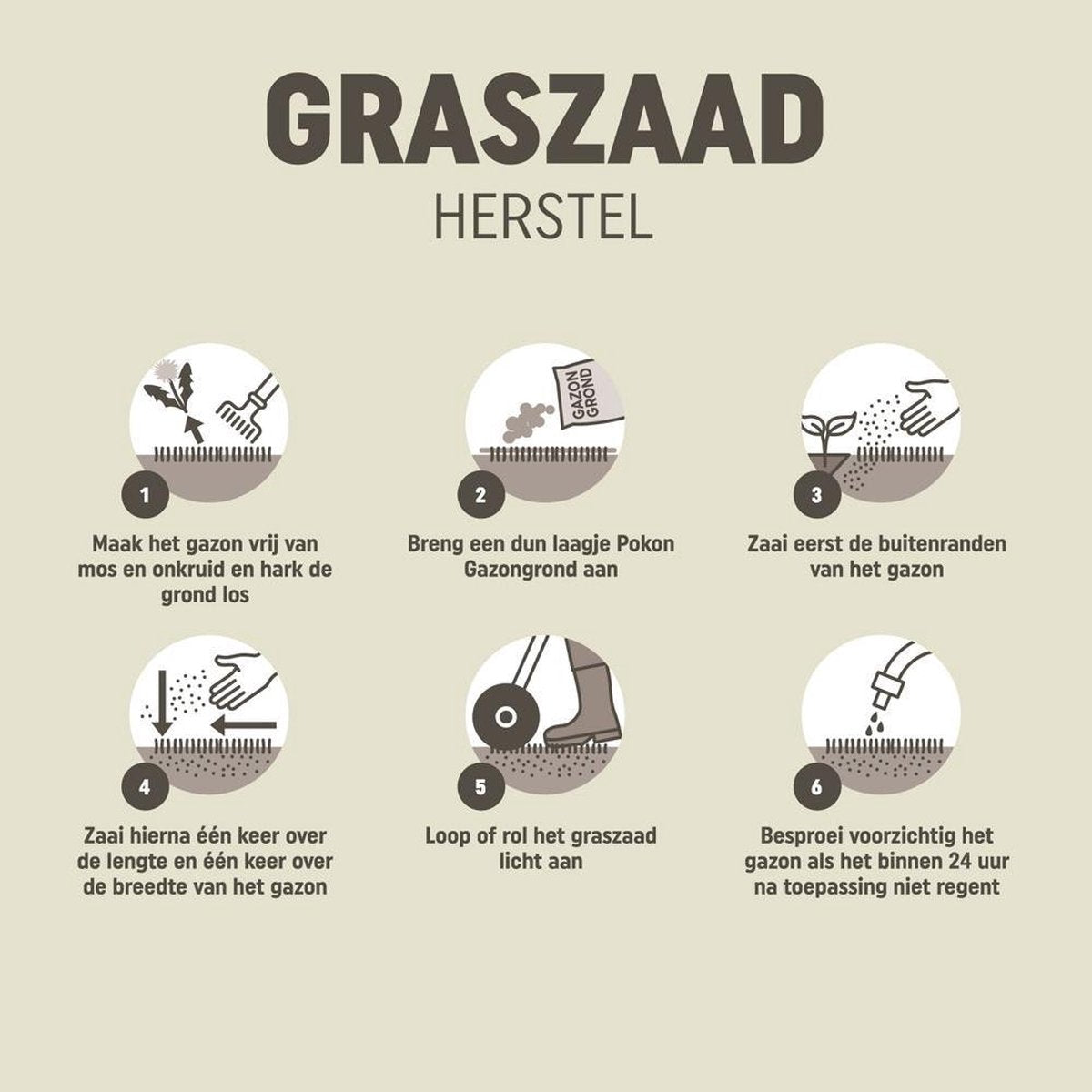  Pokon Graszaad Herstel - 2kg - Gazonherstel - Geschikt Voor 80m² Tot 120m² - Supersnel Egaal Groen Gras