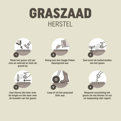  Pokon Graszaad Herstel - 2kg - Gazonherstel - Geschikt Voor 80m² Tot 120m² - Supersnel Egaal Groen Gras