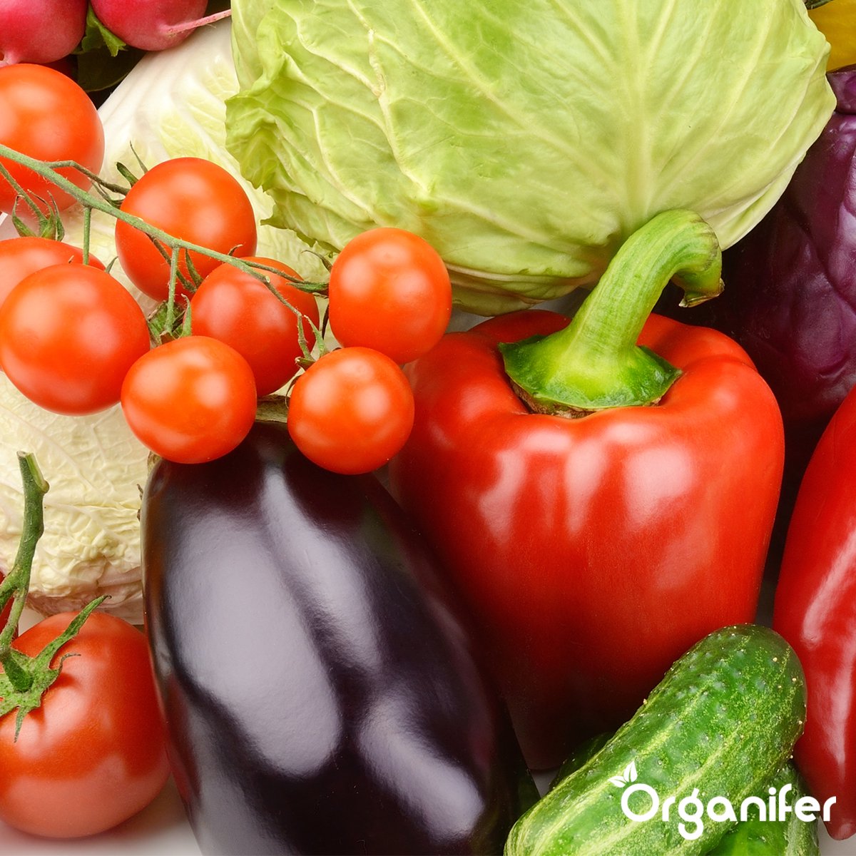  Groentezaden Pakket – 25 Culinaire Soorten - Organifer