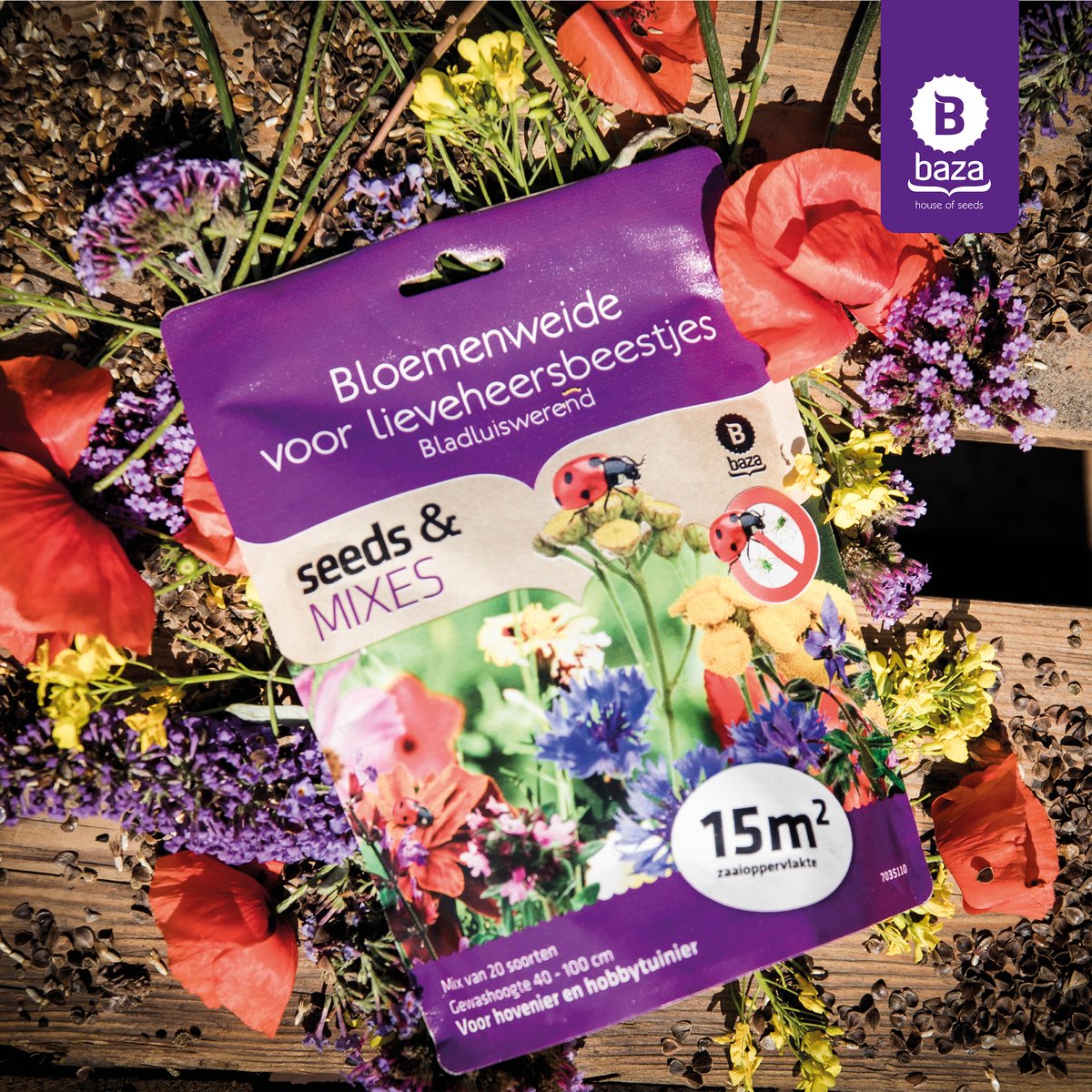  Seeds &amp; Mixes Bloemenweide Zaden Meerjarig En Wilde Bloemen 2 Stuks