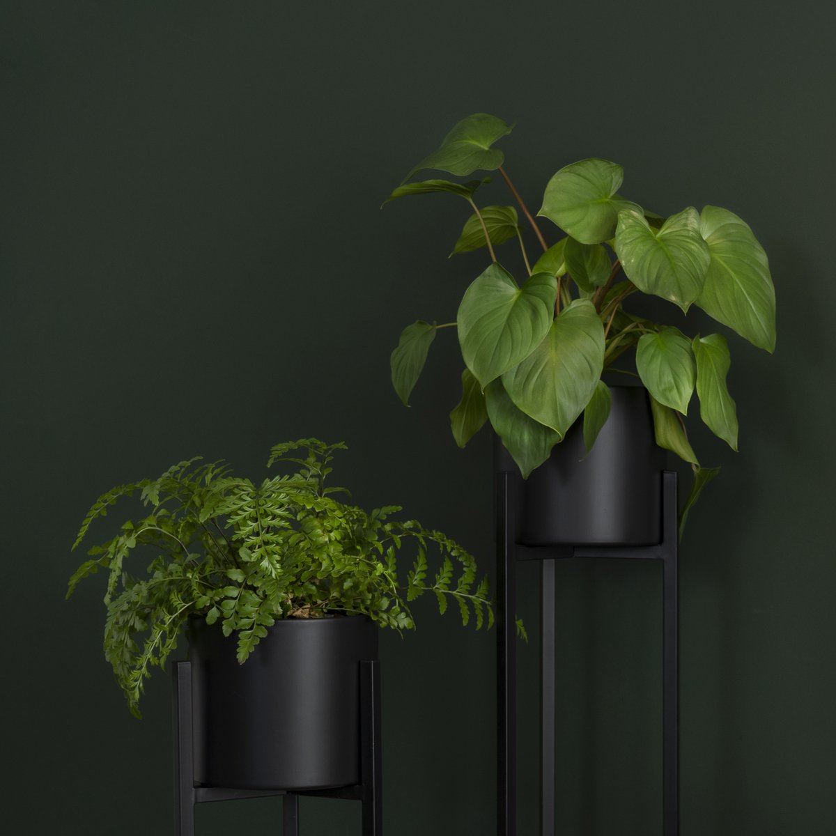  QUVIO Plantenstandaard Binnen - Inclusief Pot - Staande Plantenbak - Metaal - Bloempot - 22 X 22 X 60 Cm - Zwart