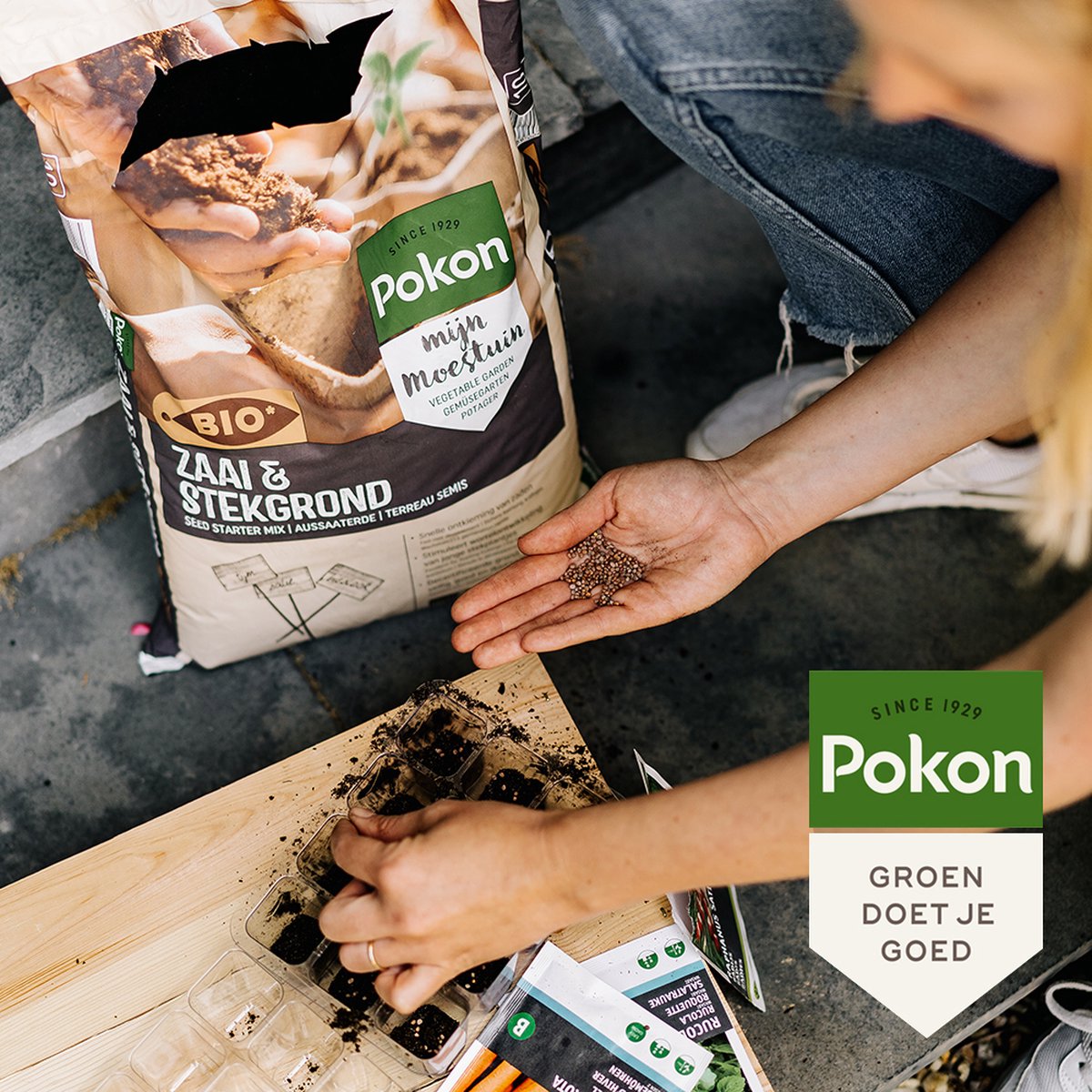  Pokon Bio Zaai- En Stekgrond - 10l - Potgrond (biologisch) - Stimuleert Wortelontwikkeling