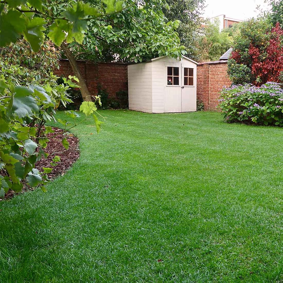  Snelkiemend Power Graszaad Voor 50m² Gras | Hoge Kwaliteit Gras Voor Een Snel Groeiend Meerjarig Gazon