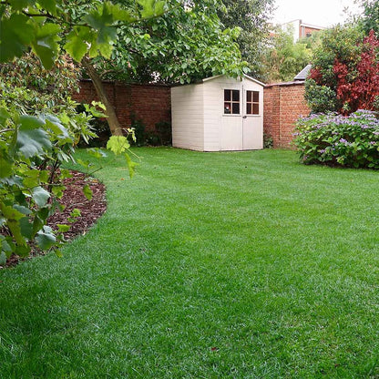  Snelkiemend Power Graszaad Voor 50m² Gras | Hoge Kwaliteit Gras Voor Een Snel Groeiend Meerjarig Gazon
