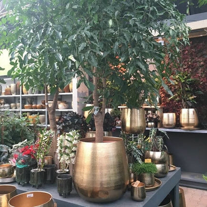 Merkloos Bloempot Karakter Goud - L