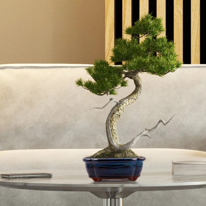  Happy Seed Keramieken Bonsai Pot (schaal) - Marine Blauw - Geglazuurd