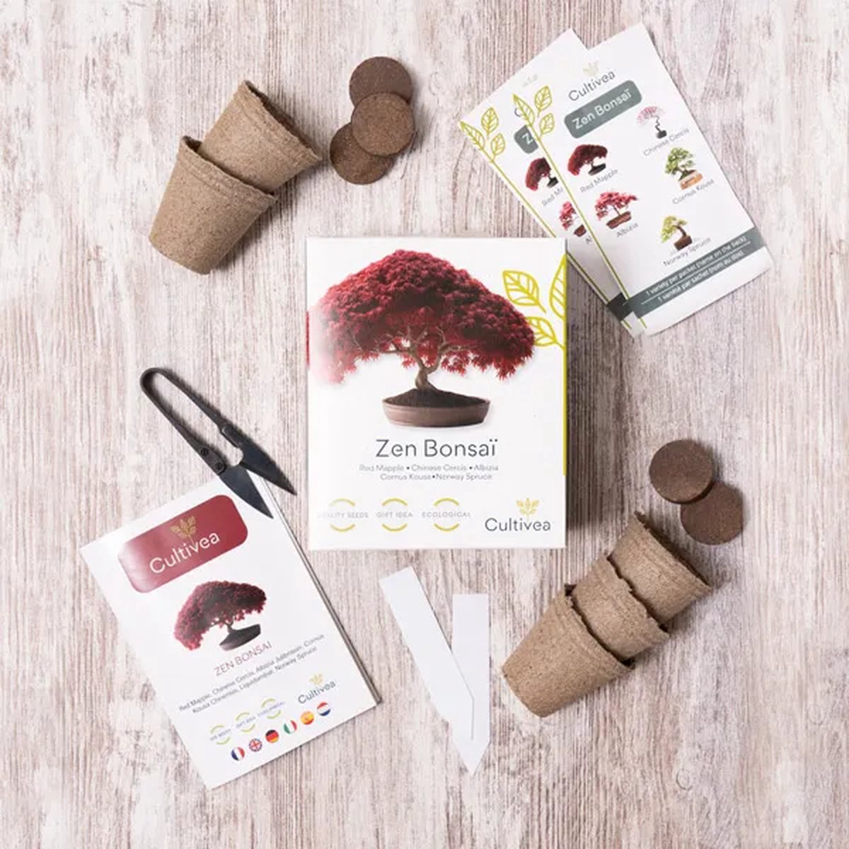  Mini Zen Bonsai Kit