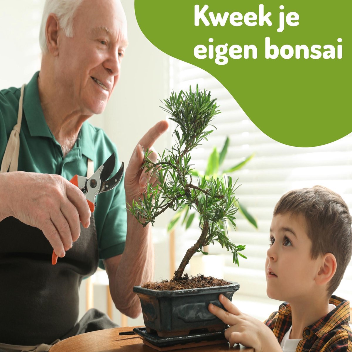  Bonsai Zaden 6 Soorten Incl. E-Book - Kweekset - Boompje In Pot - Kamerplanten – Kerstcadeau