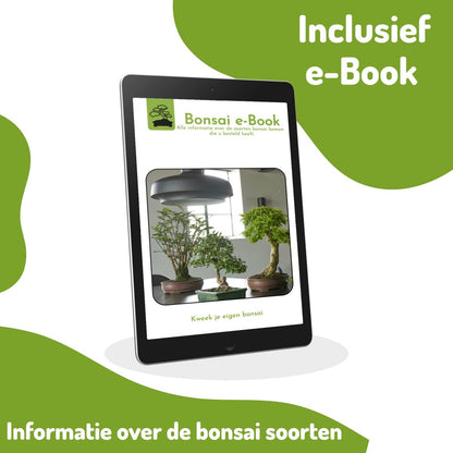  Bonsai Zaden 6 Soorten Incl. E-Book - Kweekset - Boompje In Pot - Kamerplanten – Kerstcadeau
