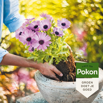  Pokon Potgrond Langwerkend - 20l - Universele Potgrond - 180 Dagen Voeding