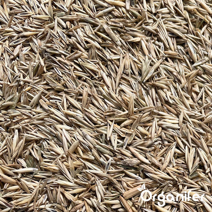  Herstelgazon Graszaad Met Grote Kiemkracht – Fast Repair (1 Kg Voor 50m2) Organifer