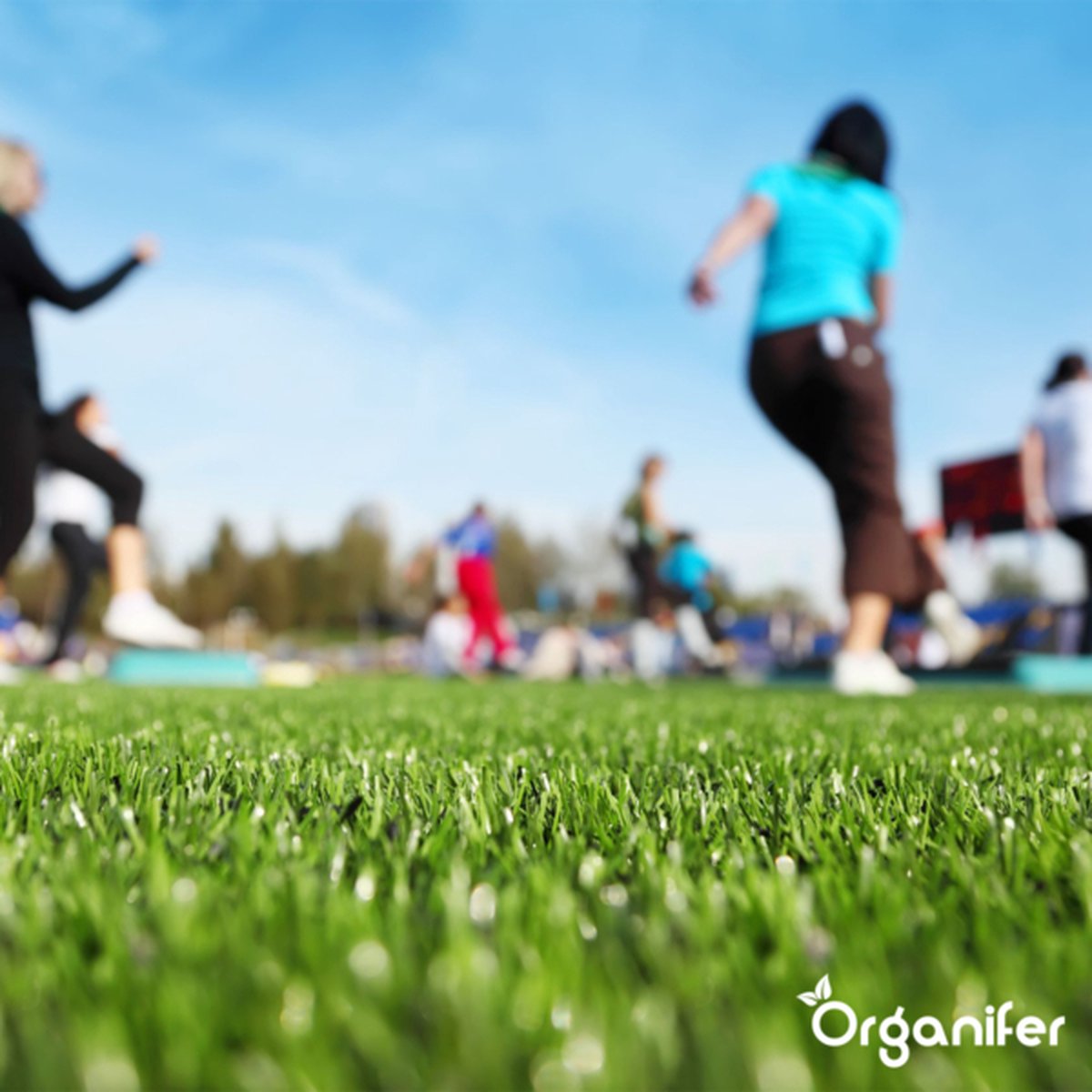  Speelgazon Graszaad (1kg Voor 50m2) - Snelkiemend En Zelfherstellend Sportgazon Bestand Tegen Betreding - Resilient - Organifer