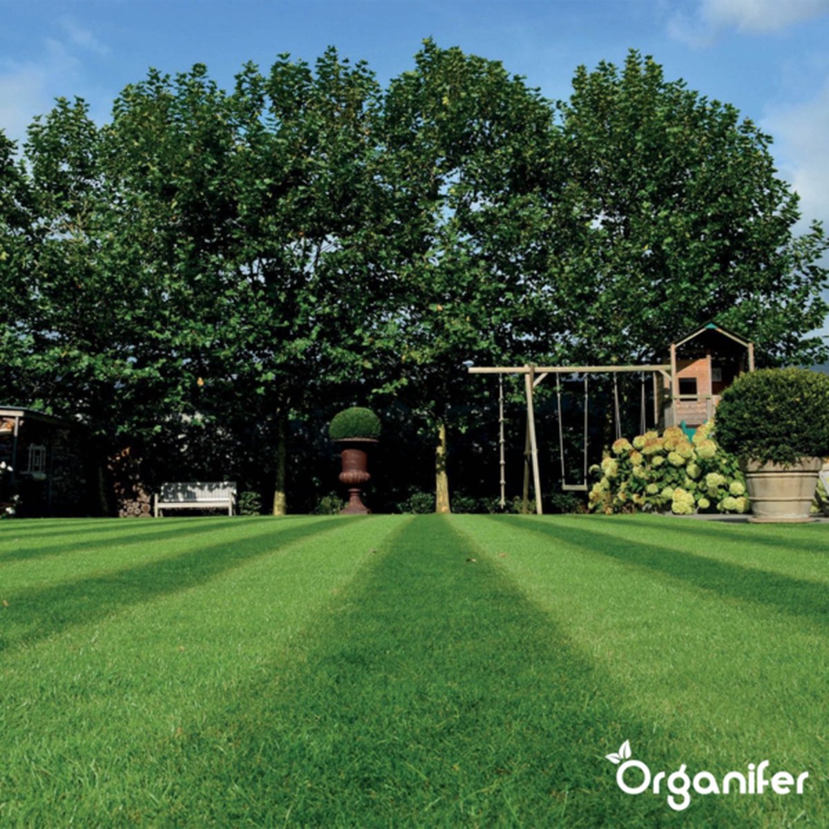  Speelgazon Graszaad (1kg Voor 50m2) - Snelkiemend En Zelfherstellend Sportgazon Bestand Tegen Betreding - Resilient - Organifer