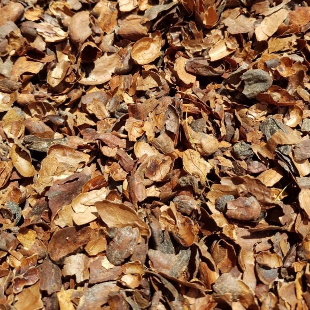  Culvita - Cacaodoppen 70 Liter - Cacao Geurende Bodembedekker - Organische Bodemverbeteraar