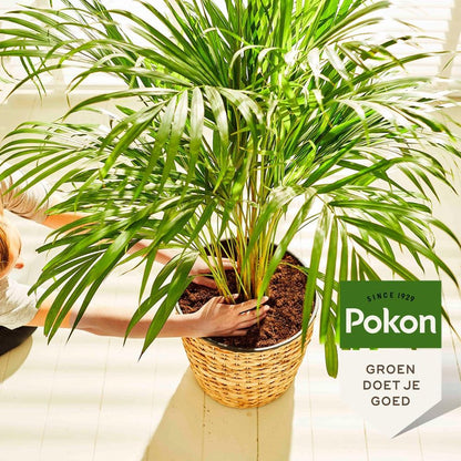  Pokon Palmen Potgrond - 10l - Potgrond (Palm) - 60 Dagen Voeding