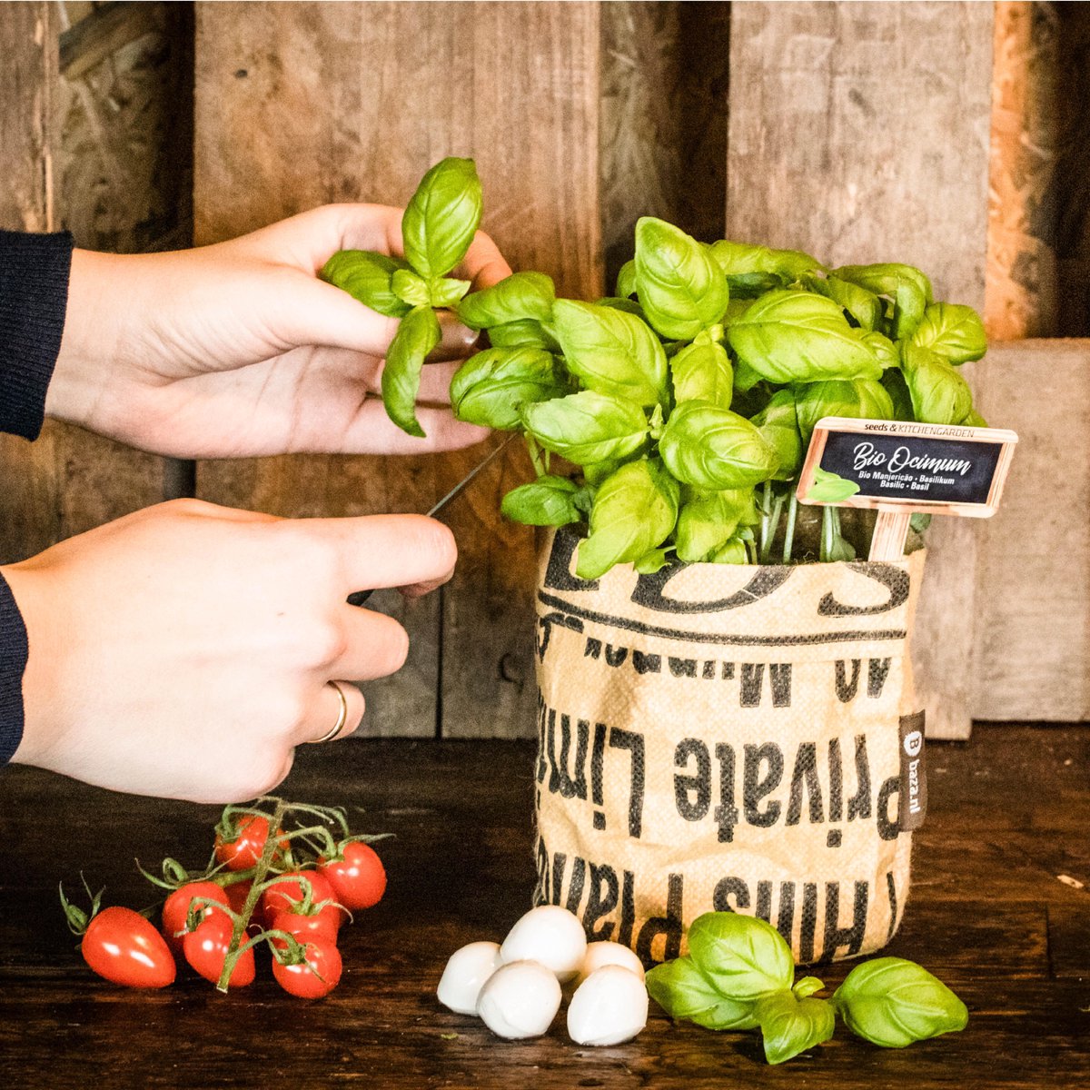  Van 32,95 Voor 24,95 3 Stuks Moestuin Kweekset Aardbei, Tomaat Paprika GRATIS VERZENDING