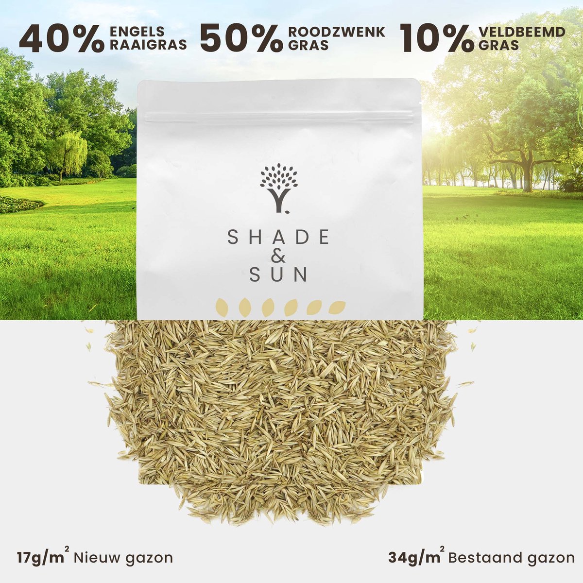  Schaduw Graszaad Voor 50m² Gras | Voor Een Gazon Met Veel Schaduw | Hitte &amp; Droogte Resistent