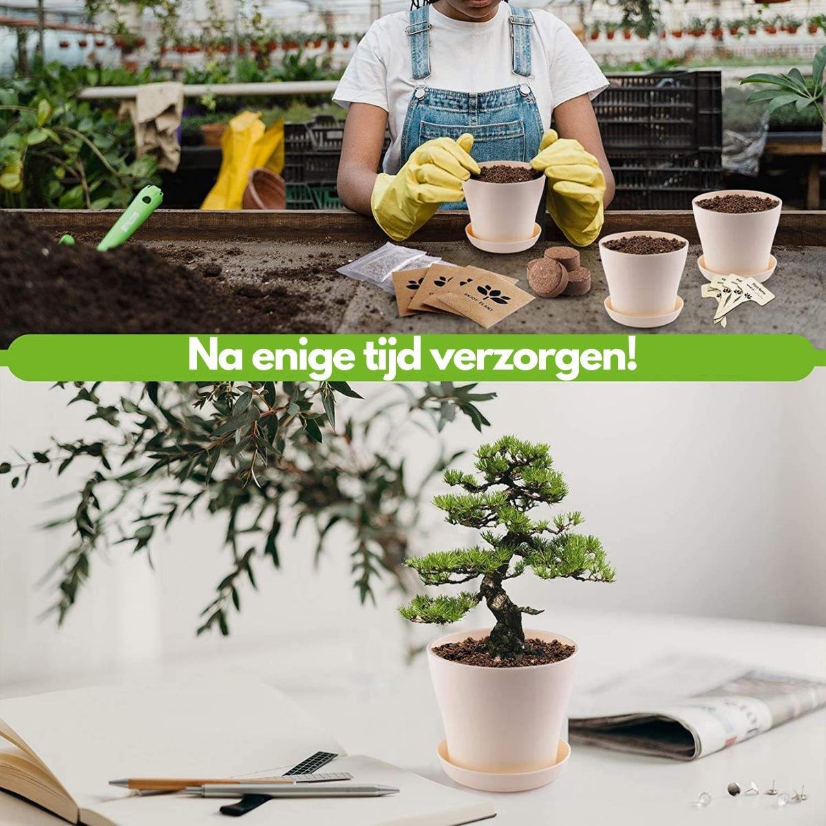  Bonsai Starters Kit - Bonsai Boompje - 5 Delige Set - 4 Soorten Zaden - Incl. E-book &amp; Schaartje