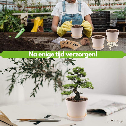  Bonsai Starters Kit - Bonsai Boompje - 5 Delige Set - 4 Soorten Zaden - Incl. E-book &amp; Schaartje