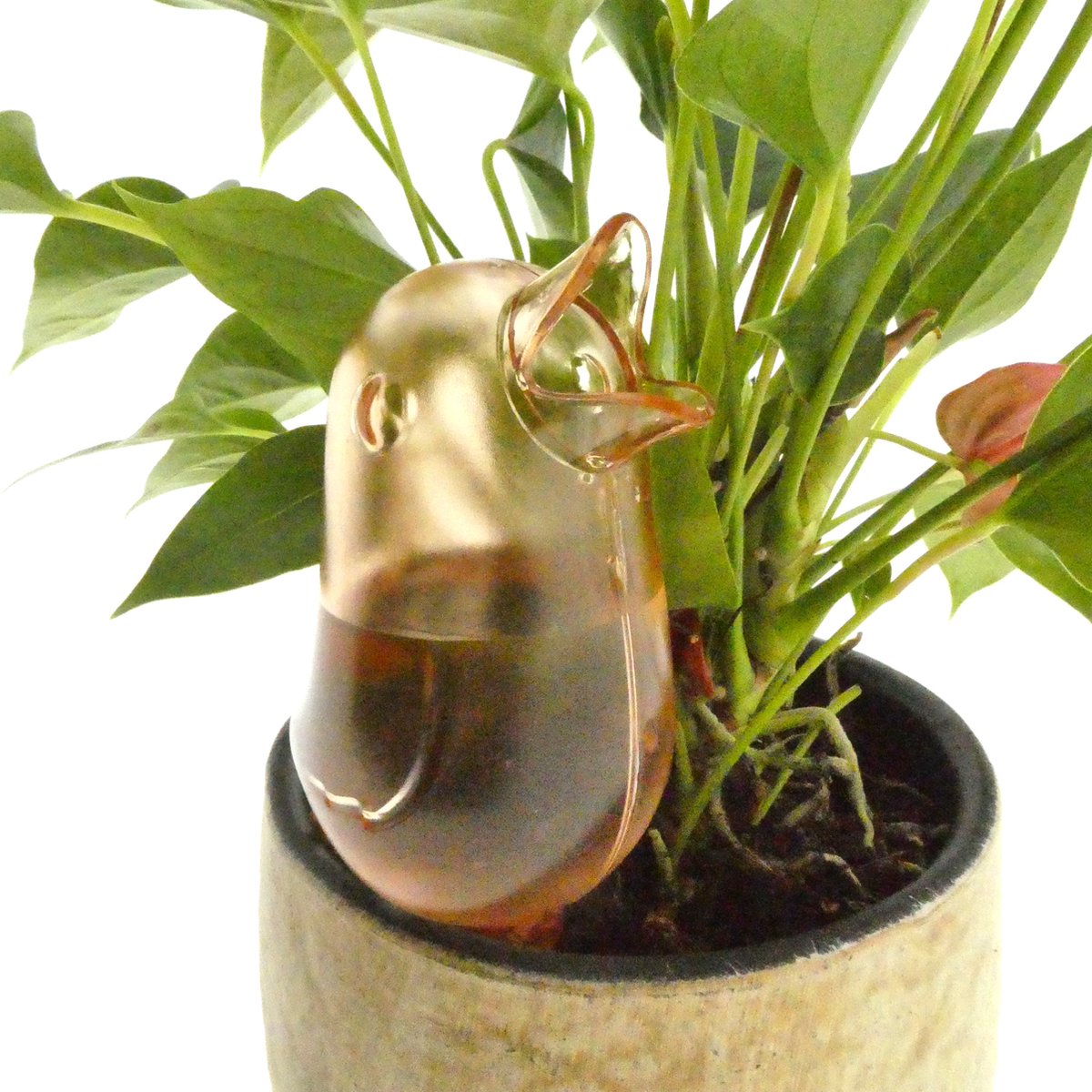  JS Drippy - Waterdruppelaars Set Van 2 Stuks - Druppelaar Vogel - Druppelsysteem Planten - Watergeefsysteem Kamerplanten - Waterbol - Roze