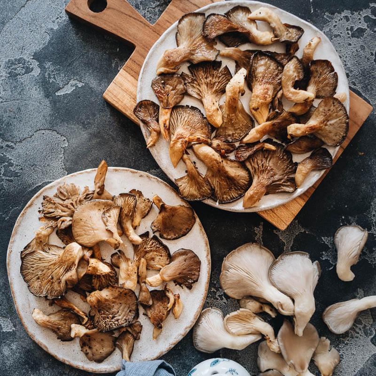  ToshiFarm Broed Voor Grijze Oesterzwammen - 50 Gram - Broed Voor Oesterzwam Growkit - Zelf Paddenstoelen Kweken Op Koffiedik - Ecologisch Cadeau