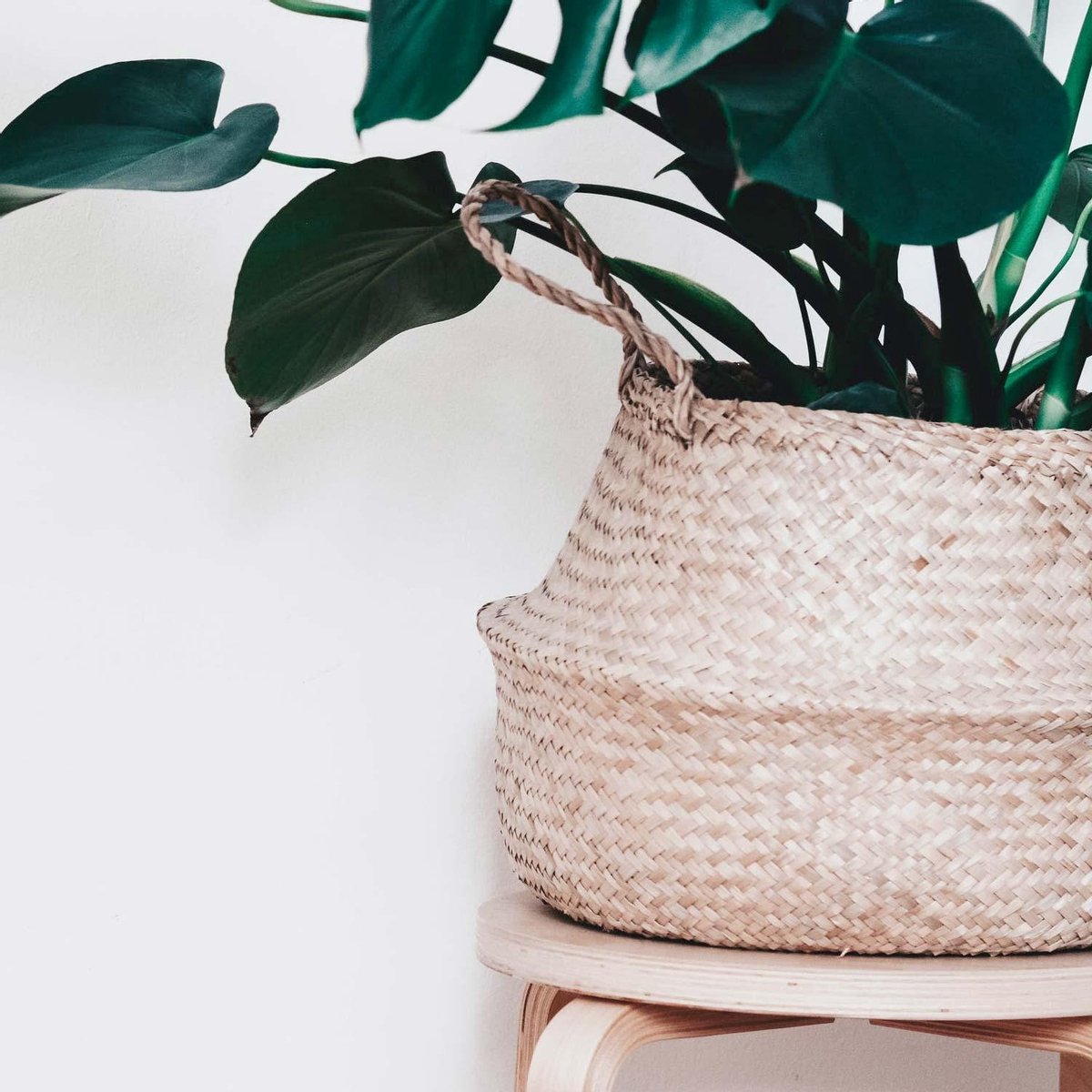  Plantenmand 35x35cm Naturel Extra Groot | Multifunctionele Mand | Handgemaakt | Planten-houder | Planten Accessoires | Planten Mand