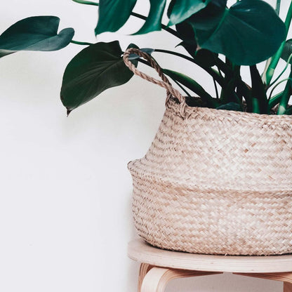  Plantenmand 35x35cm Naturel Extra Groot | Multifunctionele Mand | Handgemaakt | Planten-houder | Planten Accessoires | Planten Mand